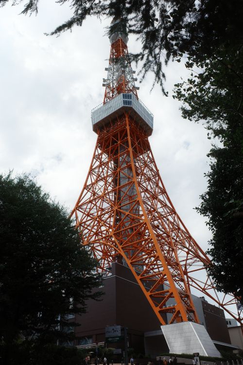 Free A striking view of Tokyo Tower framed by trees, showcasing its iconic red and white structure. Stock Photo