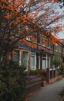 德文特一条经典的荷兰住宅街，点缀着秋叶，景色优美