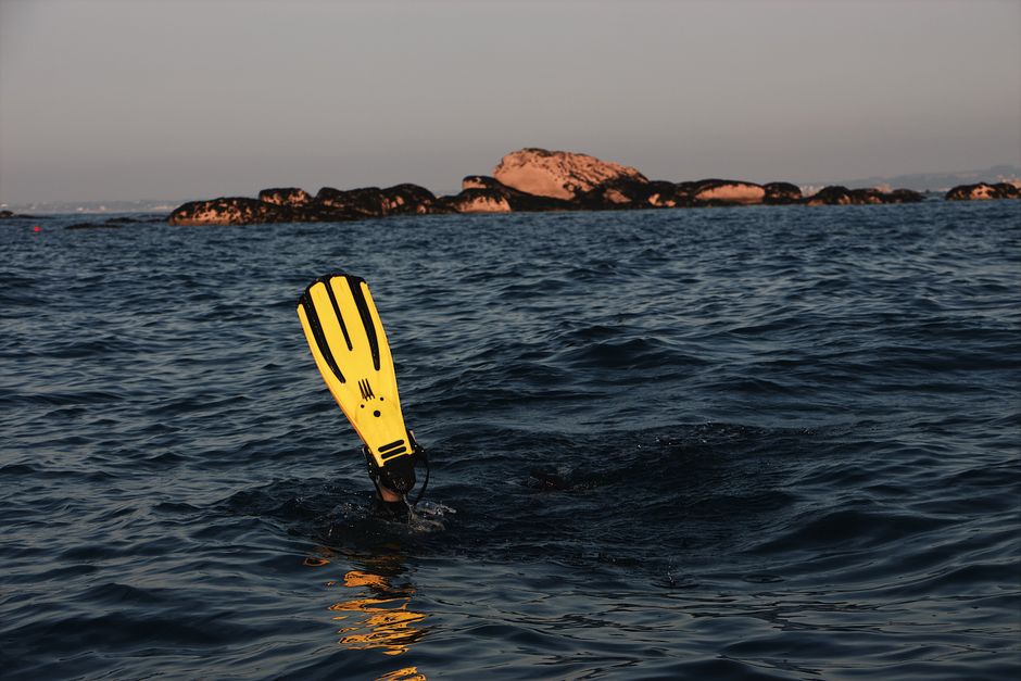 Plongée sous-marine au parc marin d'Anholt