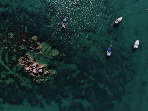 Top View Photo of Boats on Ocean