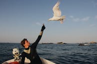 一名男子在船上喂海鸥，捕捉到了海洋中宁静的时刻