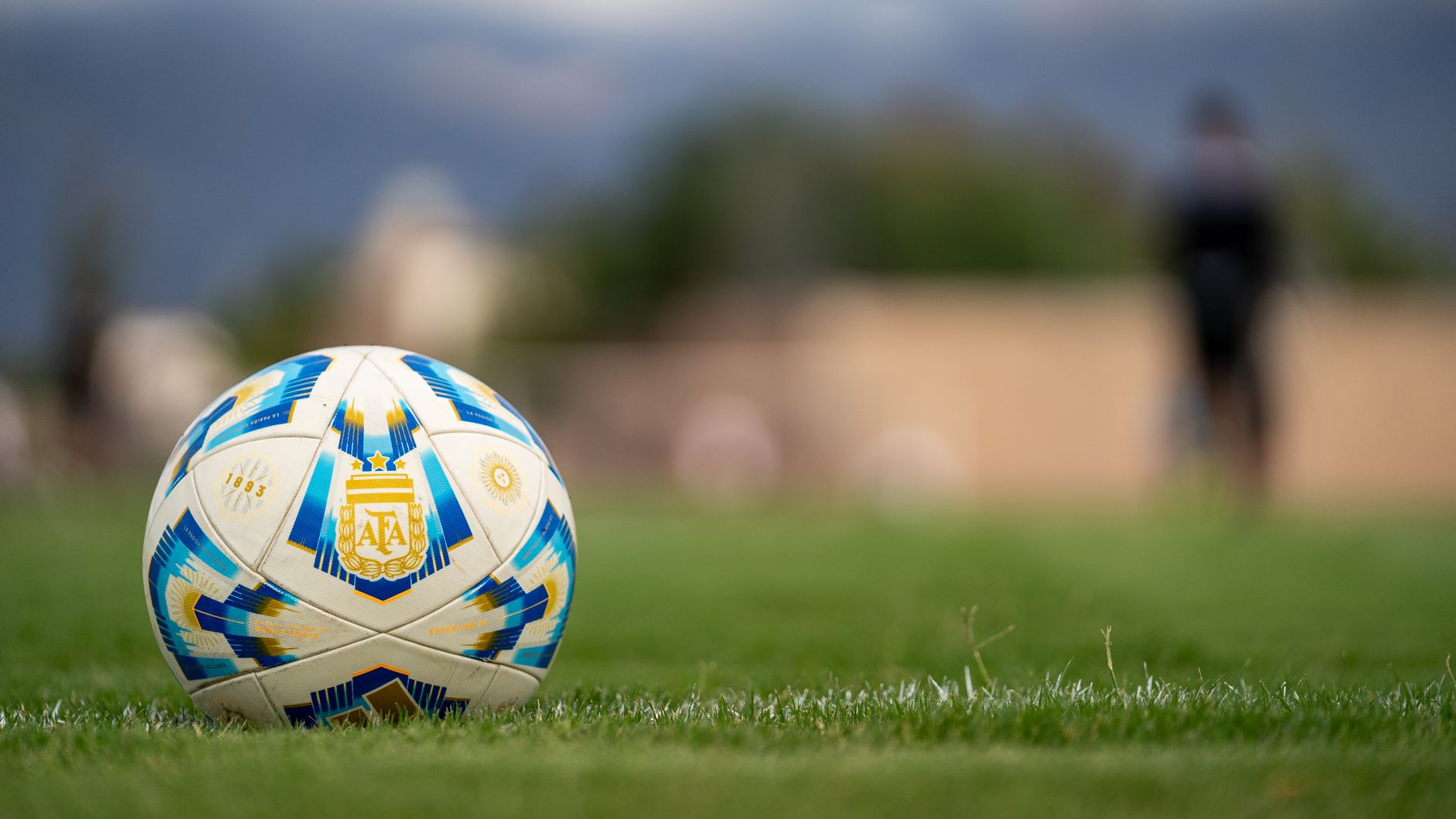 A detailed photo of a soccer ball on a lush grass field with blurred background.