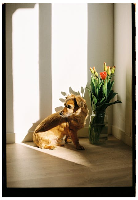 Rumus dan Contoh Sudut Matematika SMA - Ilustrasi Tambahan