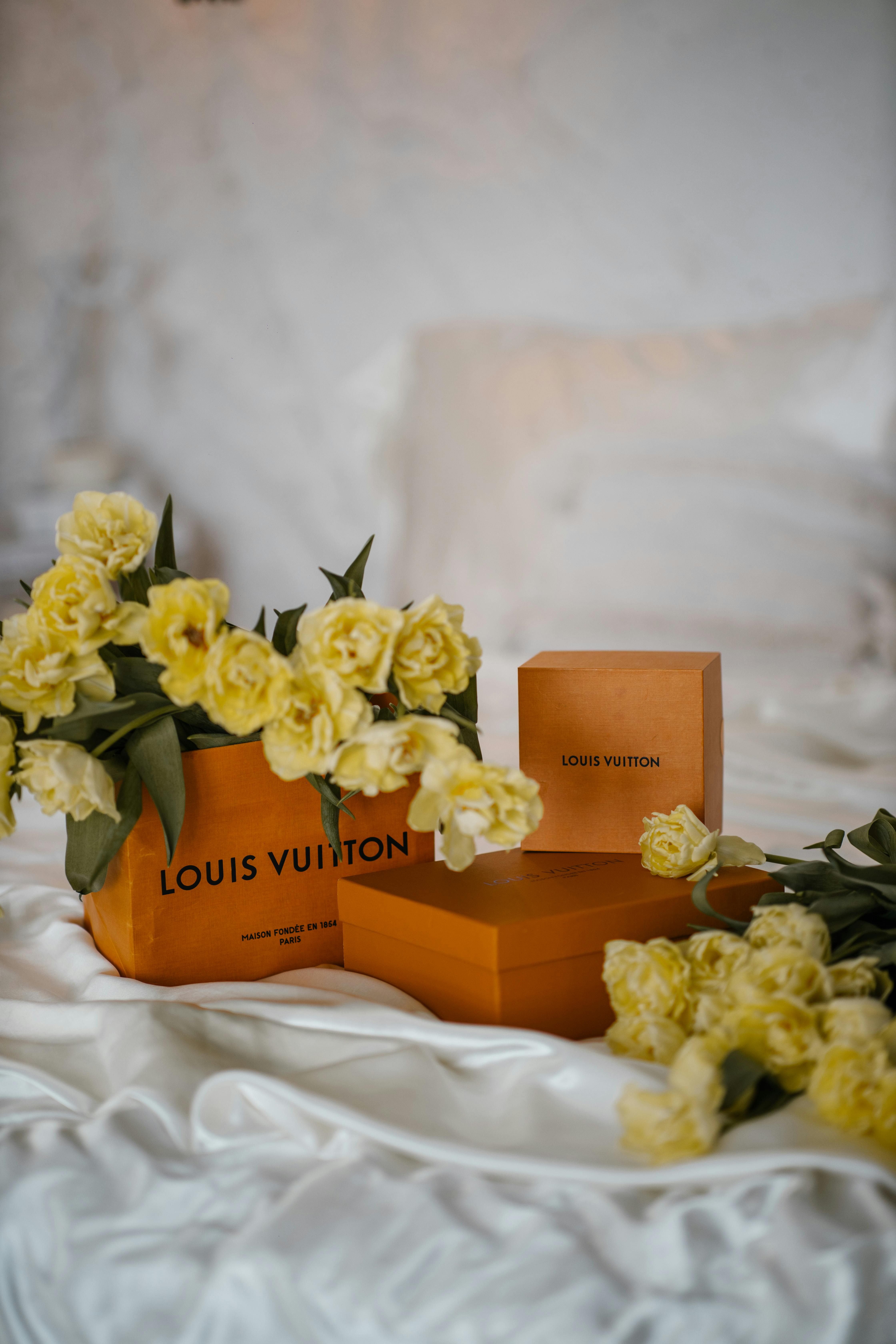 8. Kesimpulan: Minimalisme sebagai Gaya Hidup yang Membebaskan