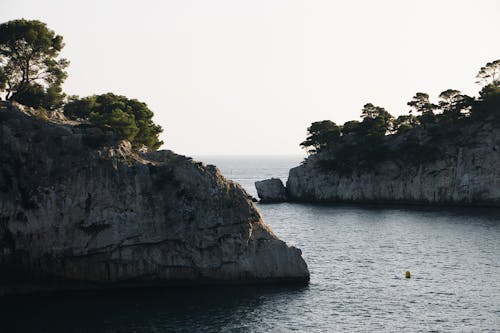 樹木在海上山的岩層上