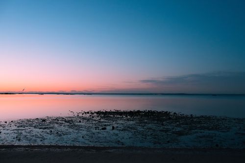 Free Peaceful twilight scene at Cove Island Park with vibrant pink sky reflecting over low tide waters in Stamford, Connecticut. Stock Photo