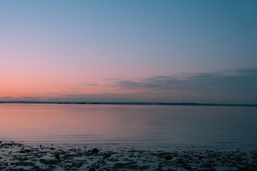Peaceful sunrise view at Cove Island Park in Stamford, Connecticut, with a pastel sky reflecting on calm waters.