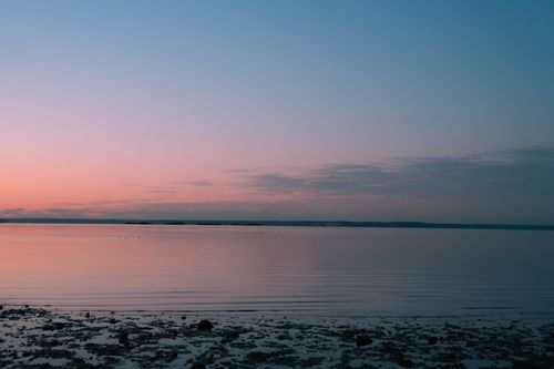 Free Peaceful sunrise view at Cove Island Park in Stamford, Connecticut, with a pastel sky reflecting on calm waters. Stock Photo