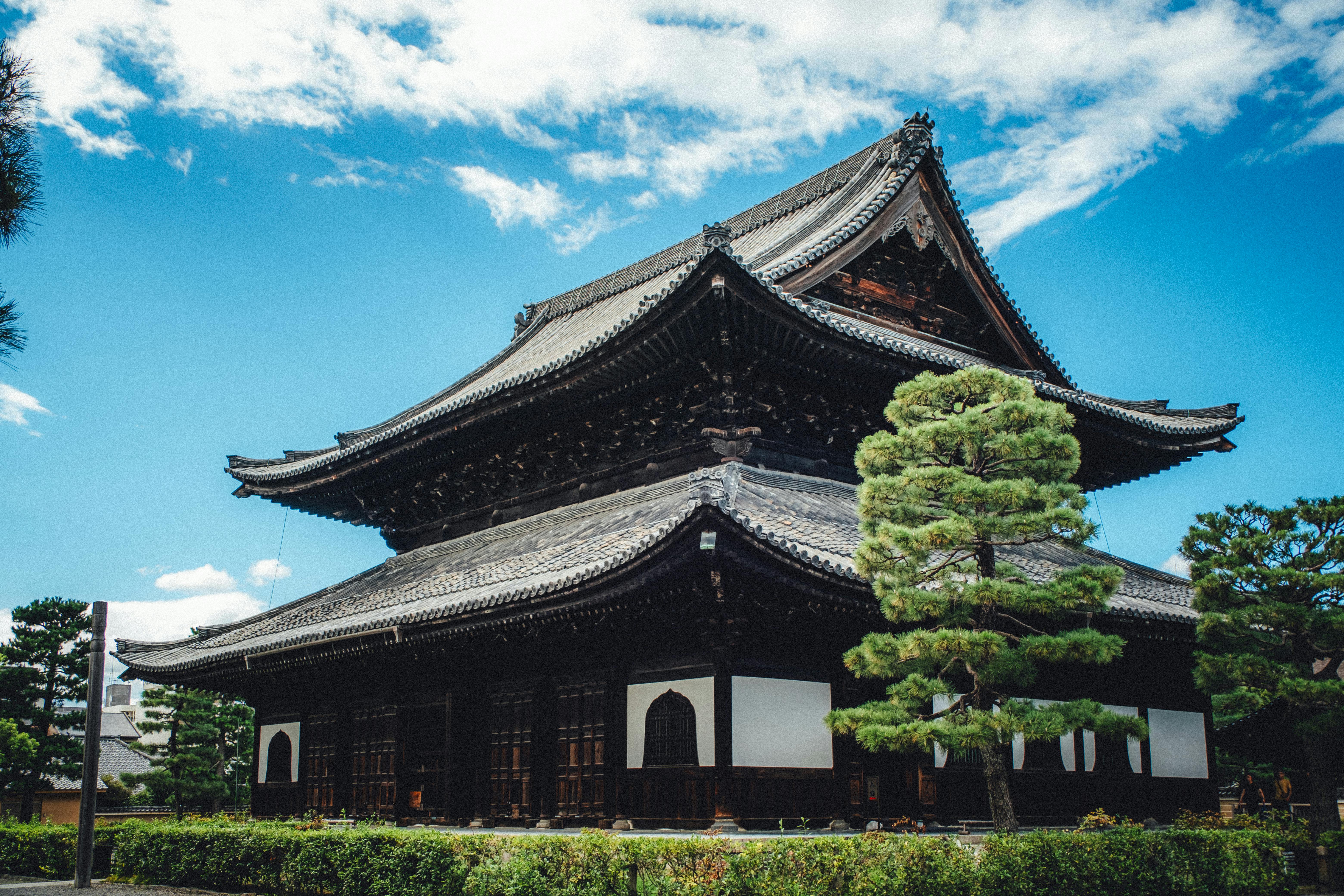 Cherry blossoms framing a traditional Japanese temple with a serene garden and pond.