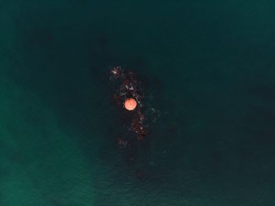 Infrasound Buoys Remotely Monitor Deep Ocean Volcanic Activity for the First Time