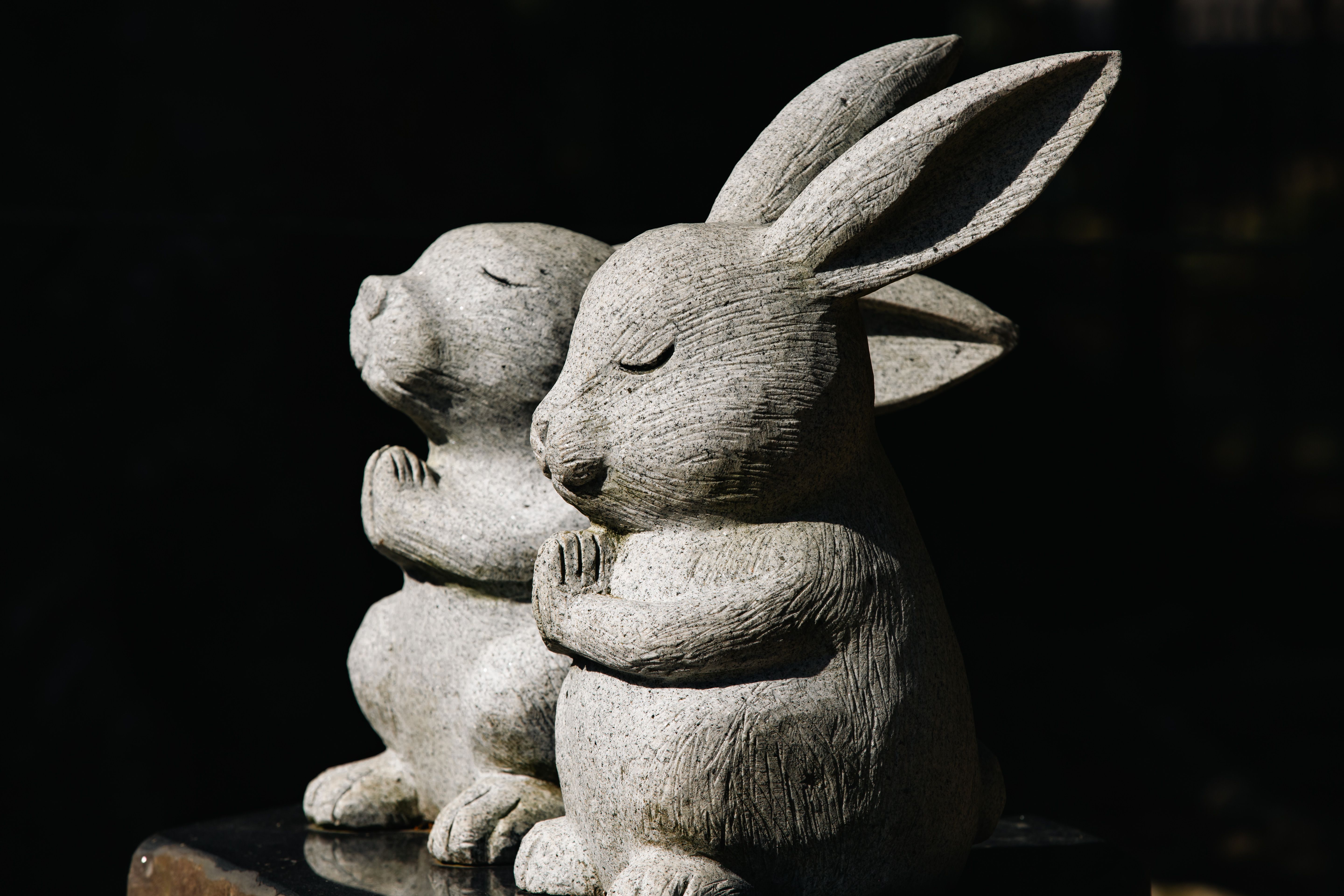 Stone Rabbit Sculptures in Prayer Pose at Izumo · Free Stock Photo