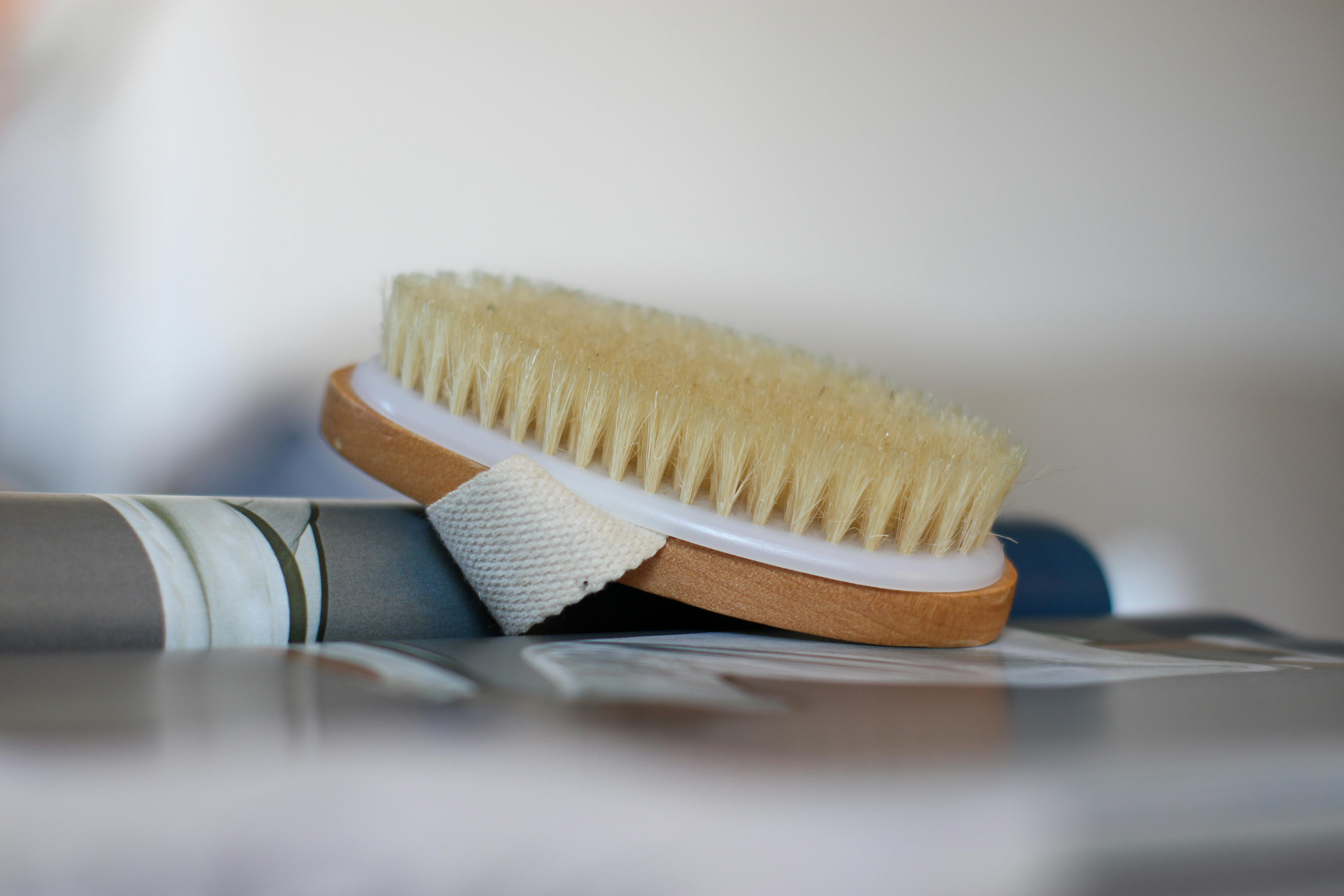 Best Scrub Brushes 2026: Kitchen, Tile & Long-Handle