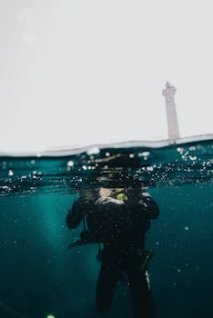 一张水肺潜水员浮出水面的分层照片