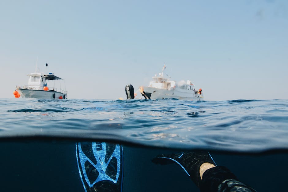 Quels sont les plus beaux endroits pour faire du snorkeling