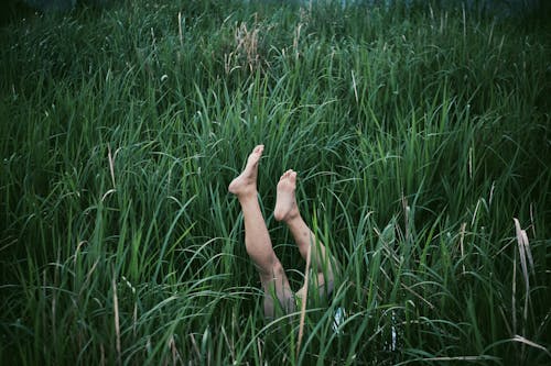 Photo of Person's Legs Surrounded by Blades of Grass