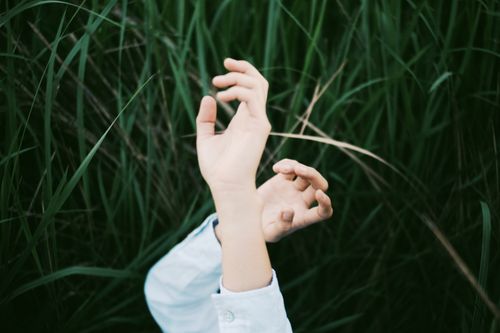 Free A pair of hands gracefully positioned among tall green grass conveying a sense of tranquility. Stock Photo