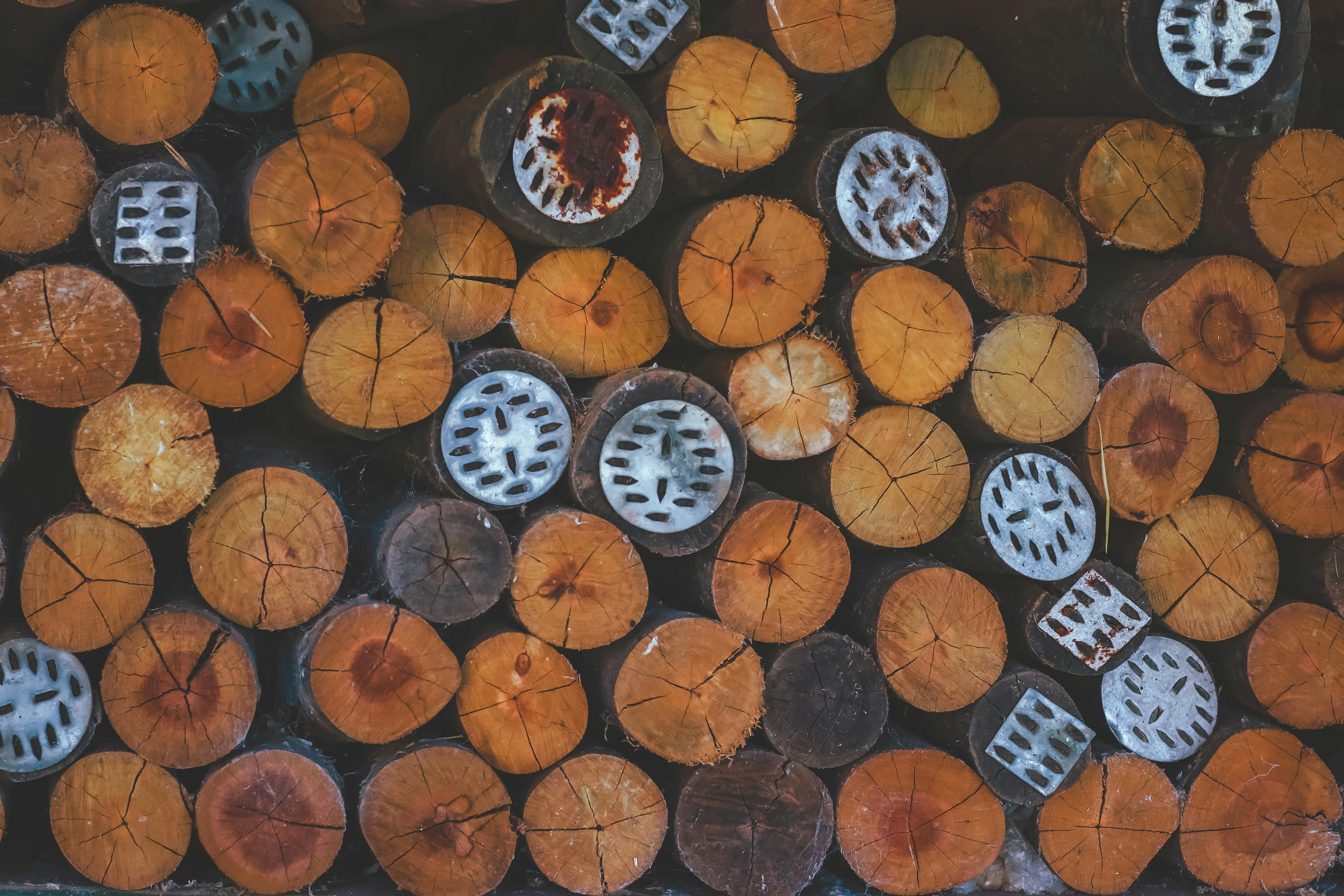 We Hauled Rocks, Stacked Wood, and Planted Seeds to Find the Best Gardening Gloves — Photo by Jhonny' Mages on Pexels