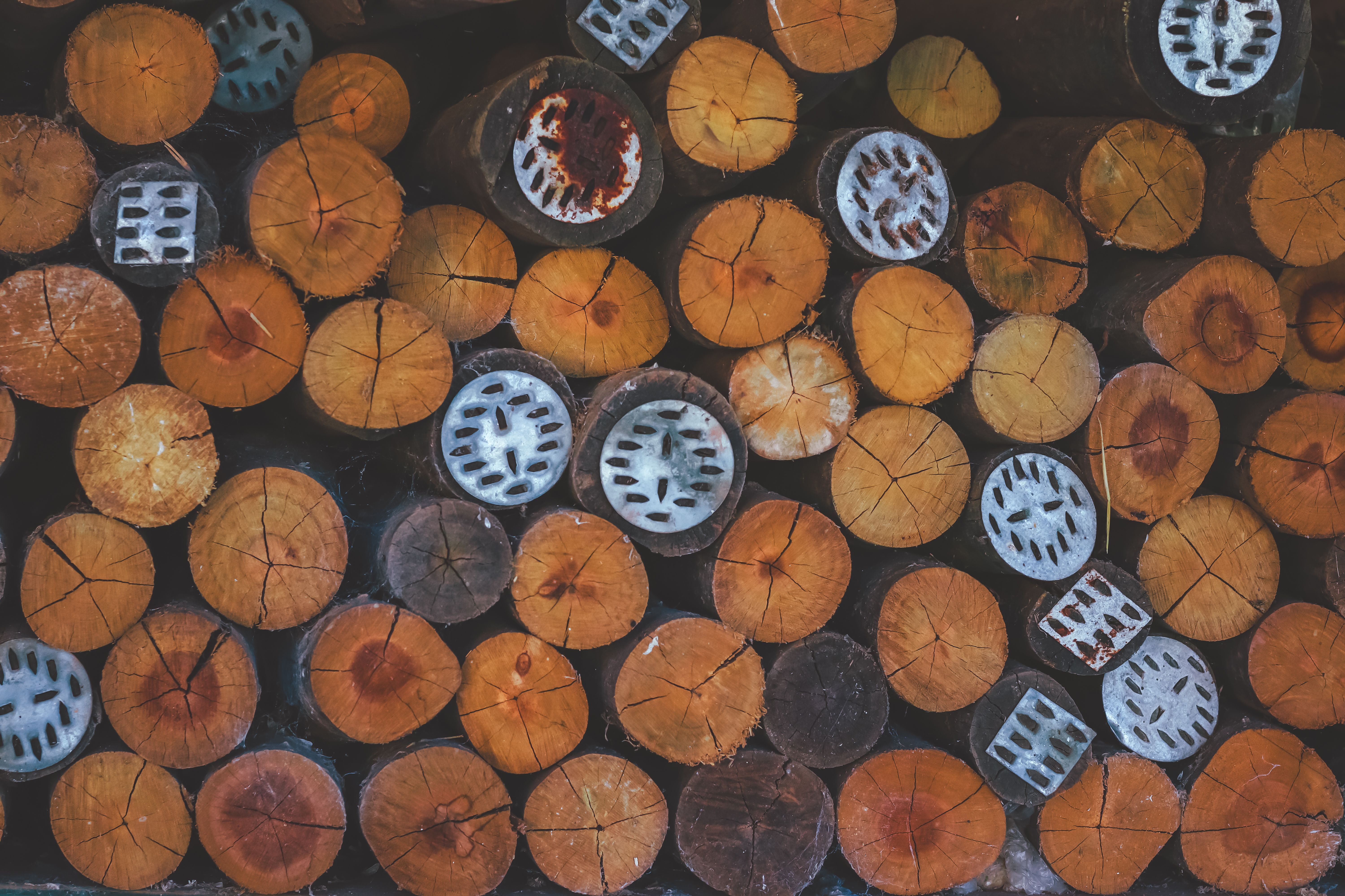 Stacked Firewood Logs with Metal Ends · Free Stock Photo