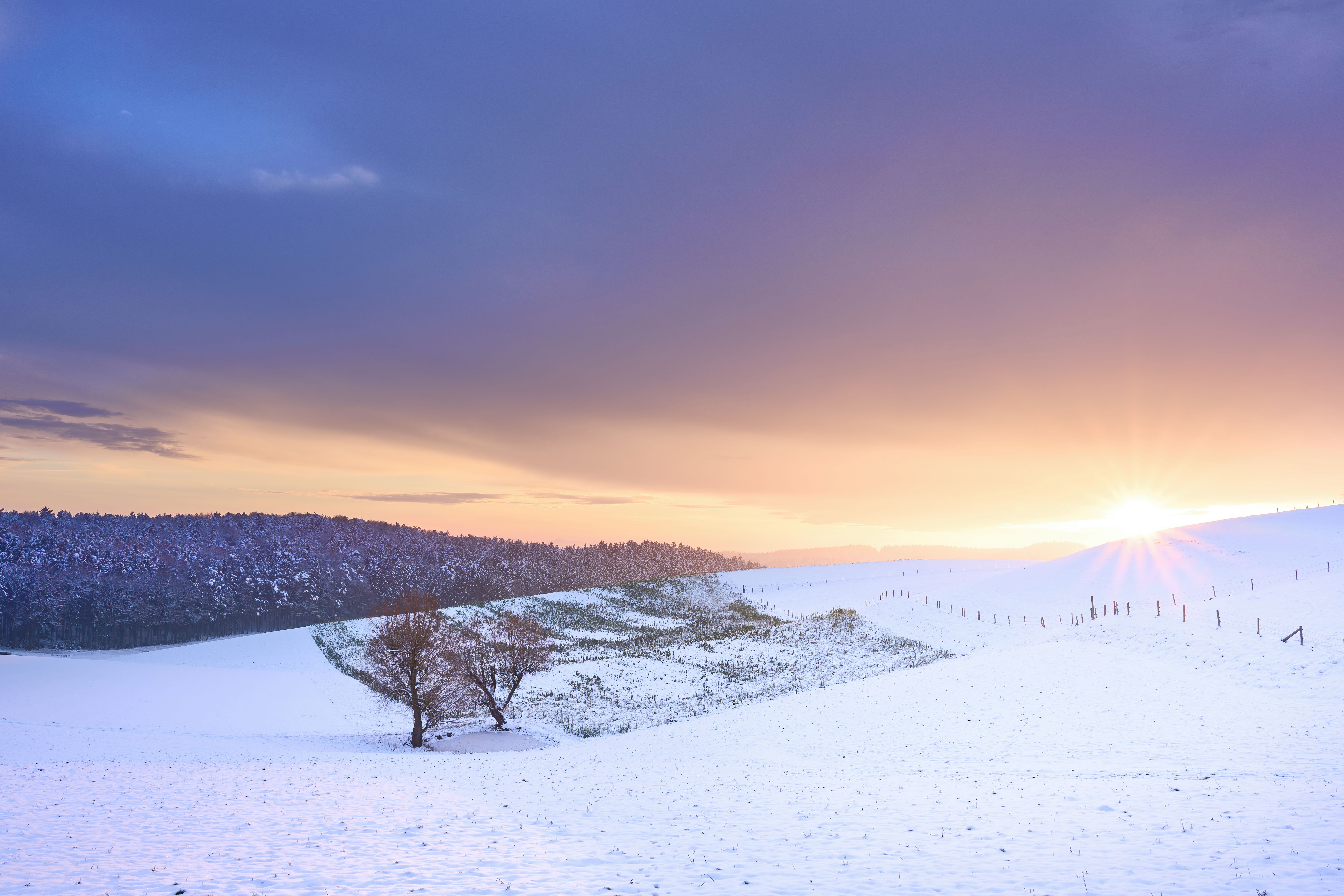 Stunning Winter Sunrise Over Snowy Landscape · Free Stock Photo