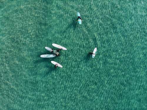 Foto Tampilan Atas Orang Di Papan Selancar