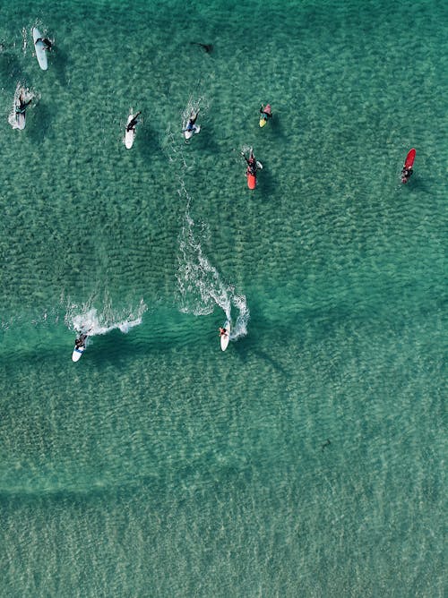 Top View Photo of People Surfboarding