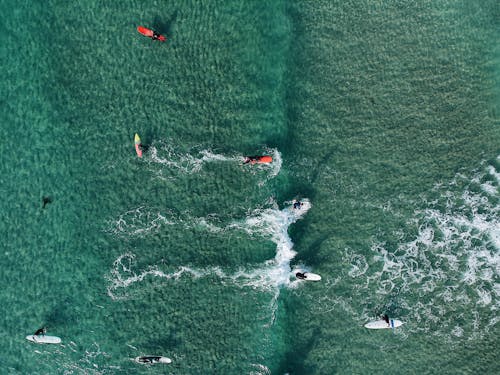 Top View Photo of People Surfboarding