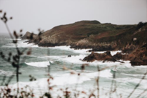 Gratis lagerfoto af bølger, dagtimer, geologi