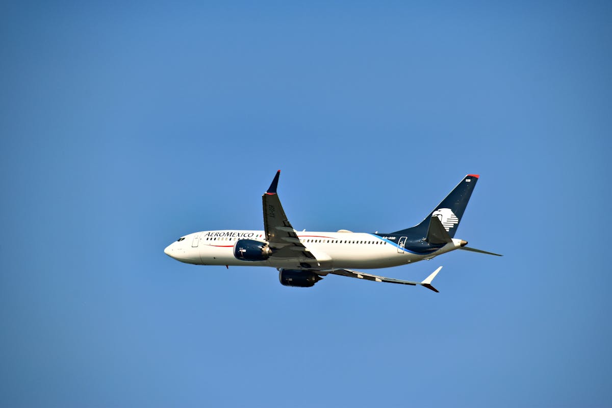 Puerto Vallarta's Chaotic Days: Cartel Smoke and Safe Streets