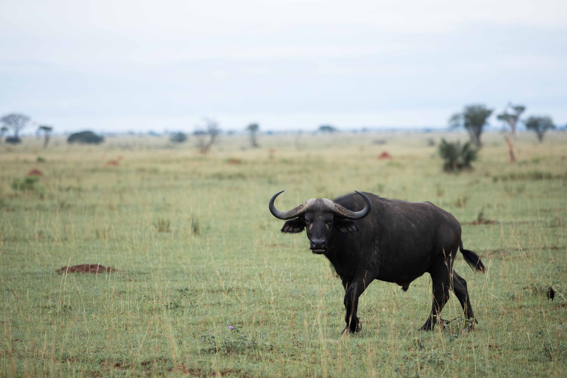 Popular sights in Murchison Falls National Park Landmarks in Murchison Falls National Park