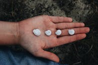 一只手在沙滩表面拿着四个小贝壳的特写