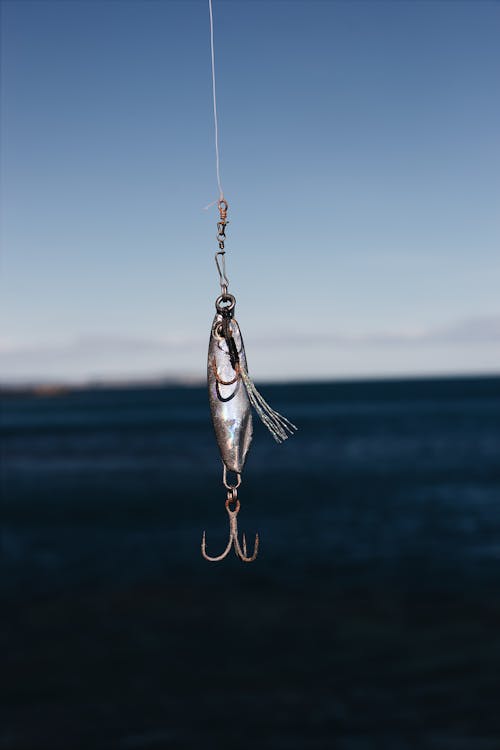 Best Size Hook For Bass Fishing Photos, Download The BEST Free Best Size  Hook For Bass Fishing Stock Photos & HD Images