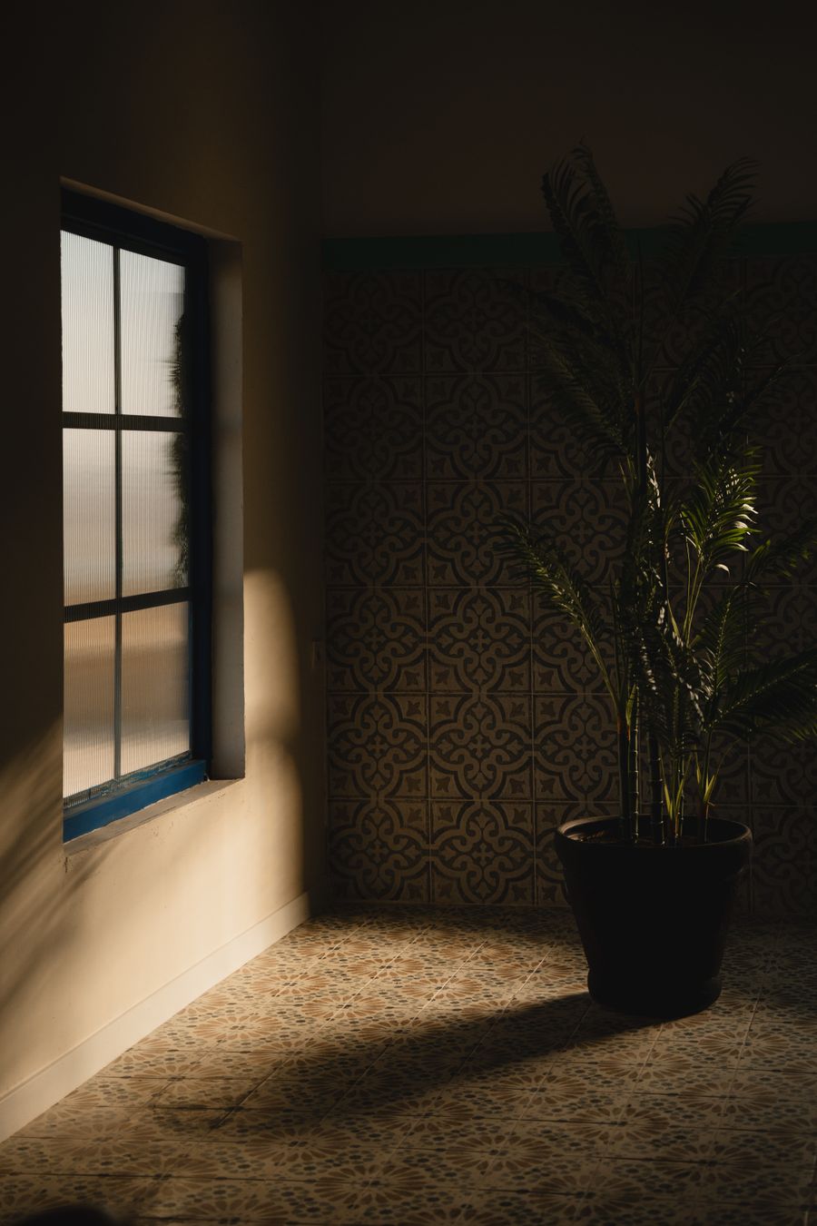 Sunlit corner of a tiled room with a potted palm — photo by Sueda Dilli on Pexels
