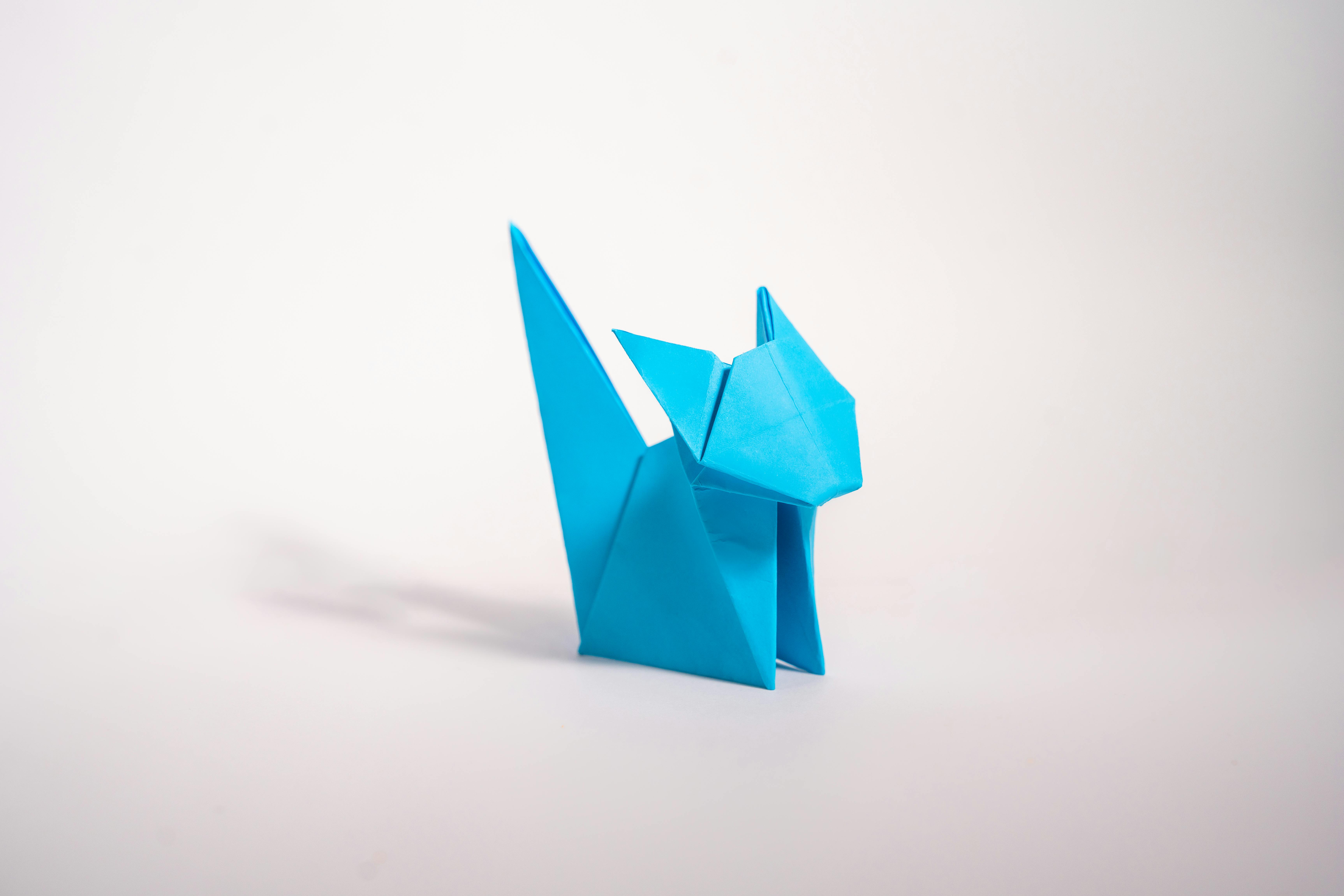 S -Origami Fun
