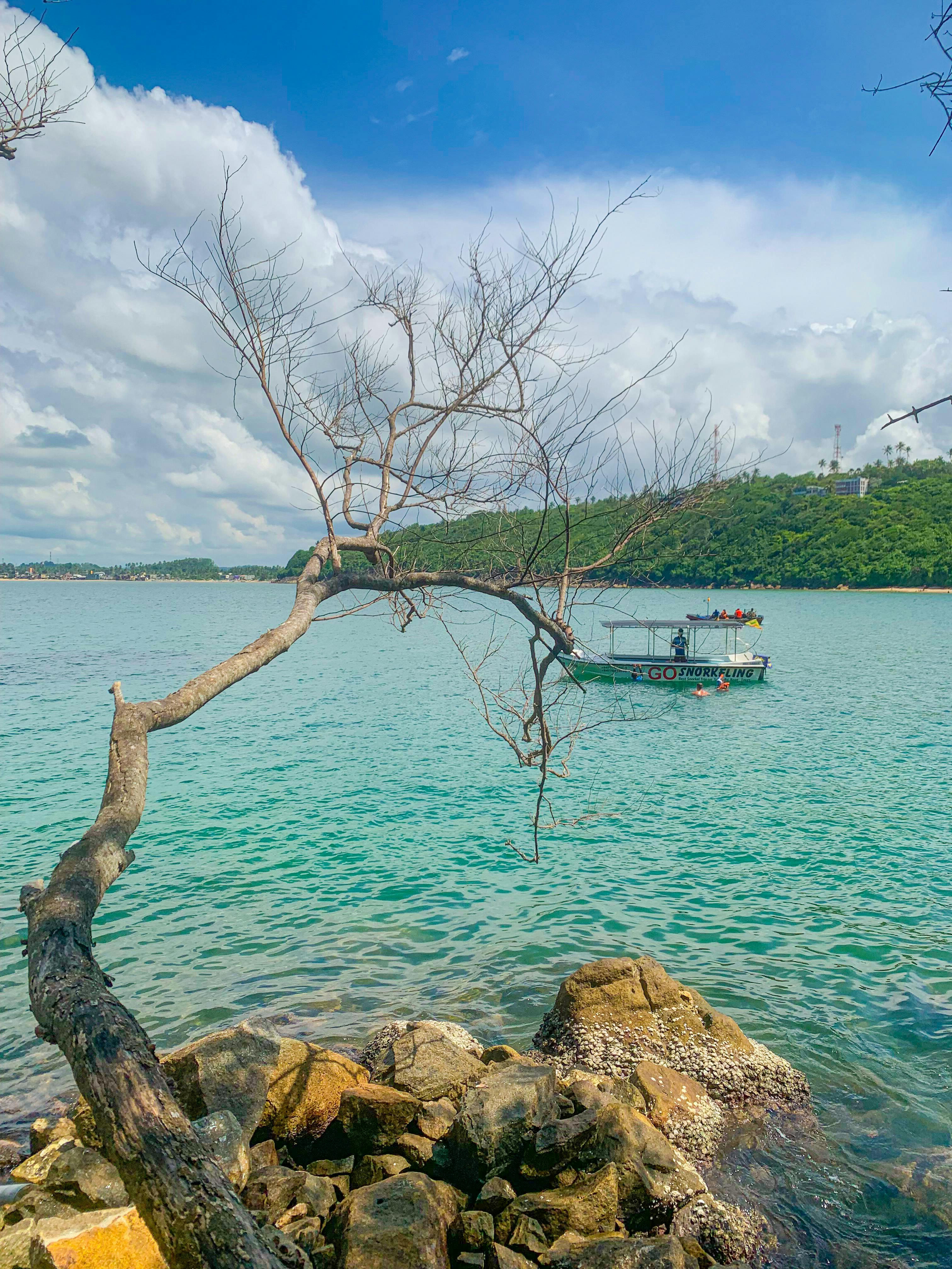 What Makes Tex On The Beach the Ultimate Tropical Escape in 2024?