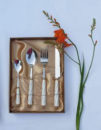 Ivory-Handle Flatware view 1