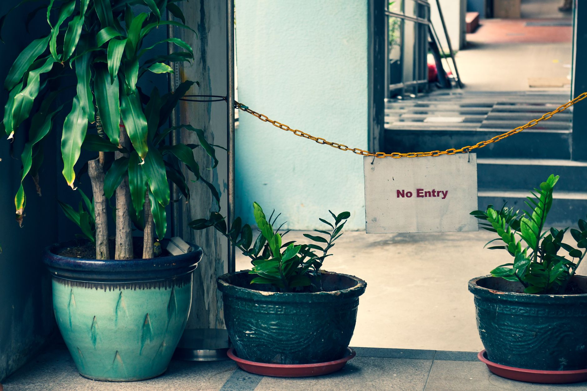 A decorative arrangement of indoor plants with a 'No Entry' sign for restricted areas.