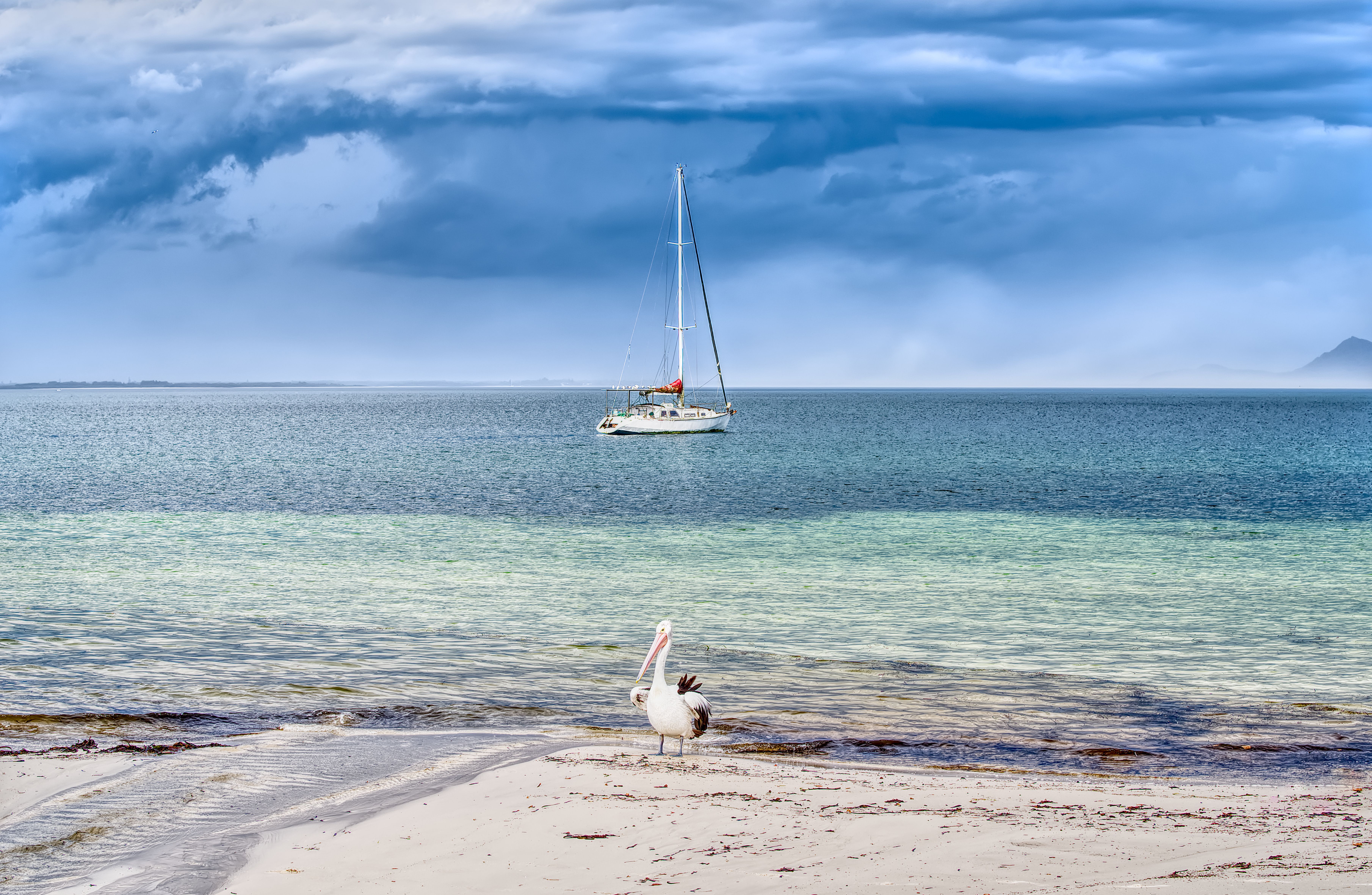 Serene Beach Scene with Pelican and Sailboat · Free Stock Photo