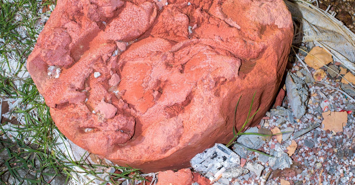 Vibrant Red Rock in Natural Outdoor Setting · Free Stock Photo