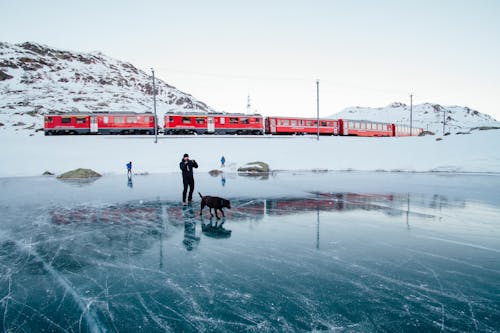 Mann Und Erwachsener Labrador Retriever, Der Auf Gefrorenem Wasserfeld Geht