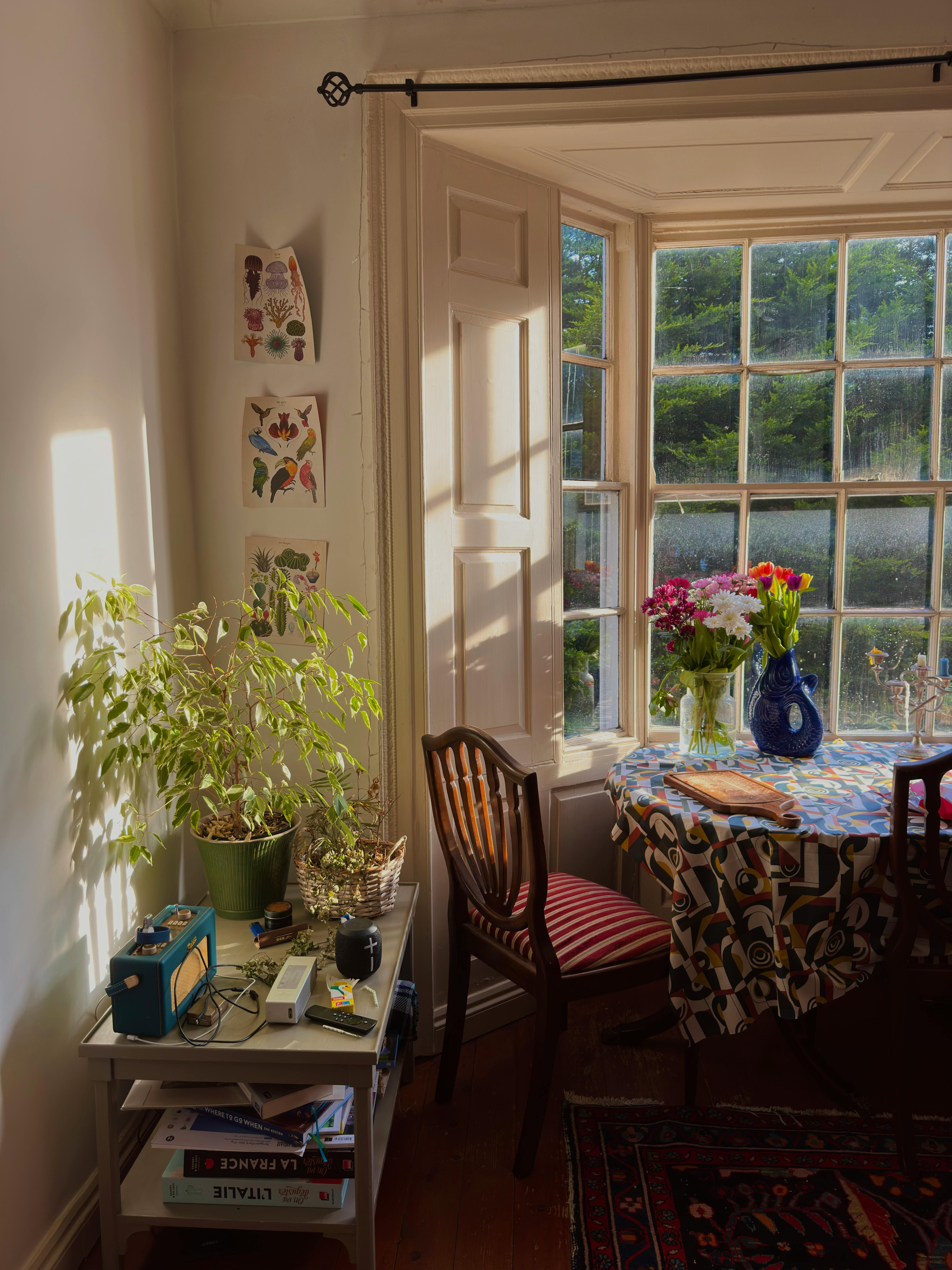 A warm, sunlit living room corner in York with decor and flowers.