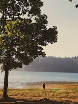 巴厘岛苏卡萨达湖边，树下一个人宁静的场景