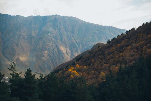 Explore the breathtaking autumn scenery of Georgia's mountainous landscapes.