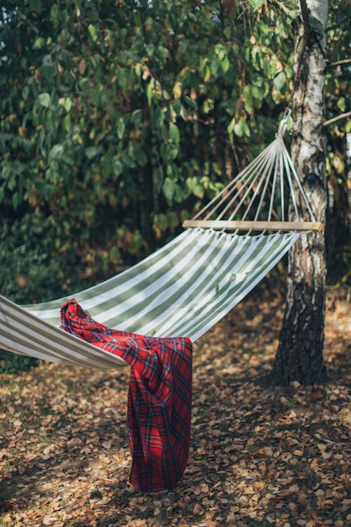 Free Red and Black Plaid Blanket on Hammock Stock Photo