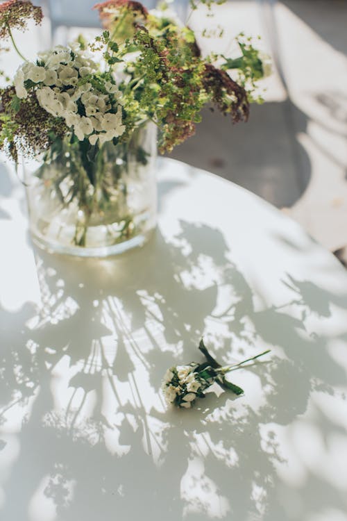 Photo Of White Petaled Flower On Vase