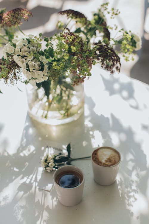 Imagine de stoc gratuită din adâncime de câmp, băutură, cafea cu lapte