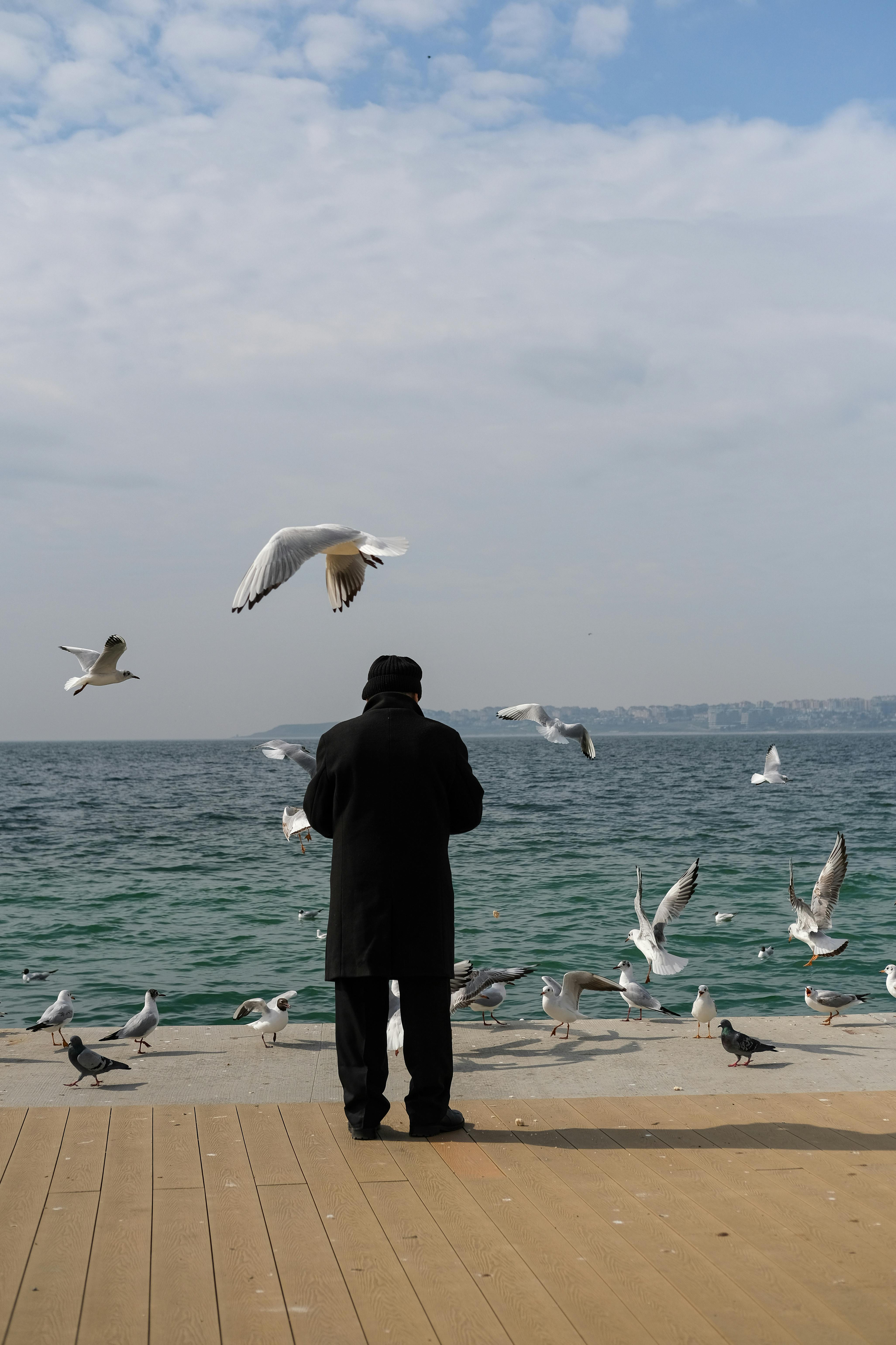 A man stands feeding seagulls by the Bosphorus in İstanbul on a cloudy day.