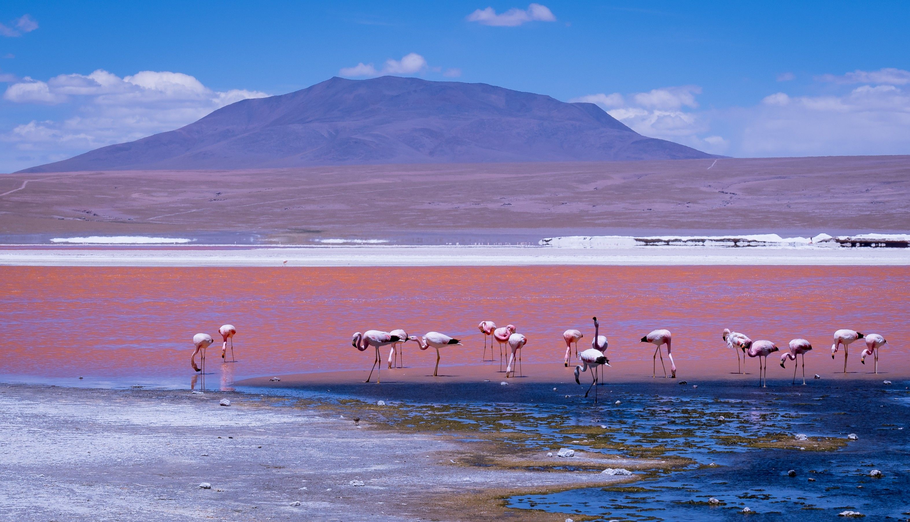 Lucre-Huacarpay Wetland Reserve