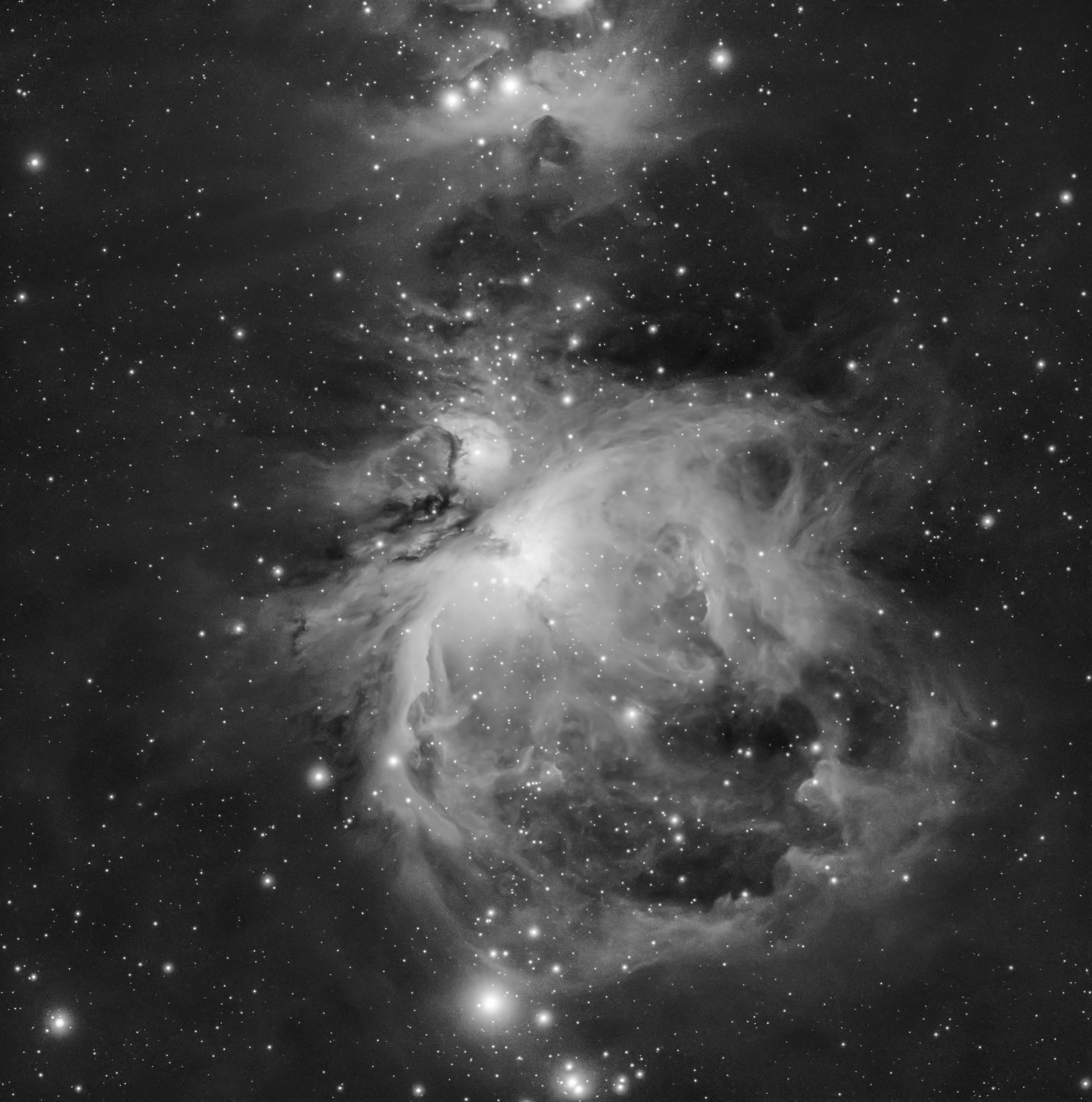 Stunning black and white image of the Orion Nebula displaying intricate celestial patterns and stars.