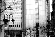 这张黑白照片中，现代摩天大楼旁有路灯和树木