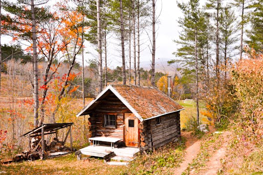 迷人的乡村小屋被秋叶和参天树木环绕